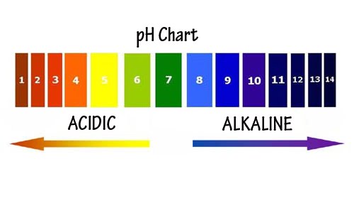 pH-Chart1
