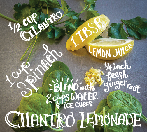 Cilantro Lemonade Smoothie