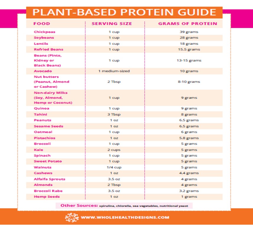 Plant Based Protein Guide