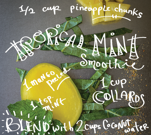 Tropical Mint Smoothie
